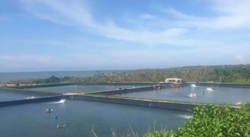 養(yǎng)殖防滲土工膜購(gòu)買(mǎi)的注意事項(xiàng)